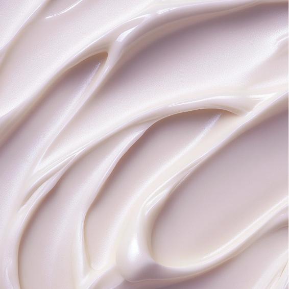 The Velvaé Wellness Membership